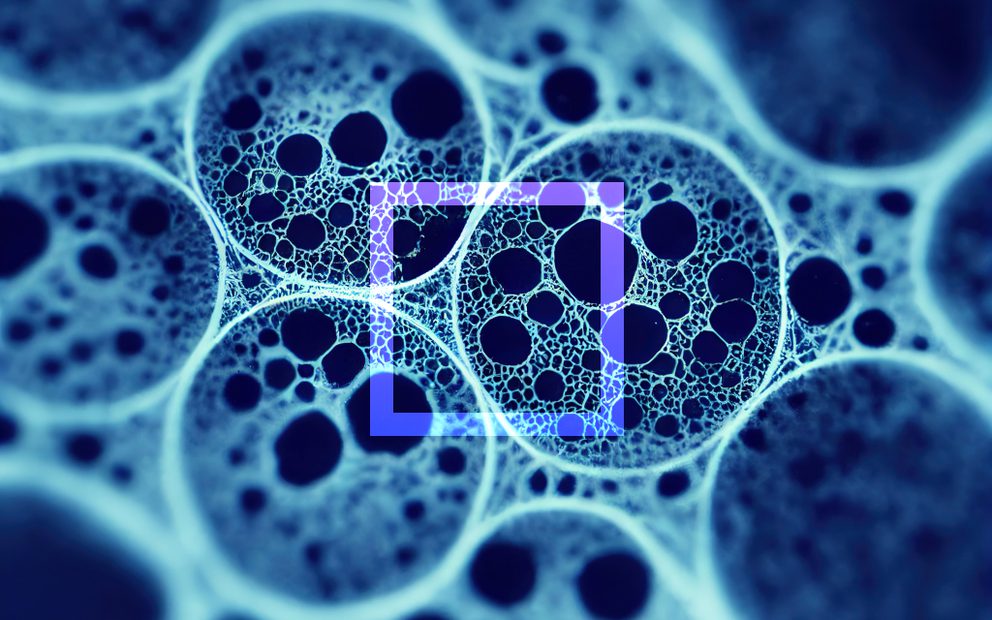 Image of Asset case study card sygnomics