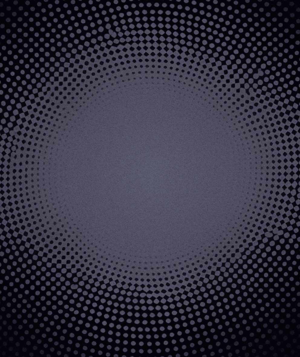 Image of Asset web 2024 if rapid innovation