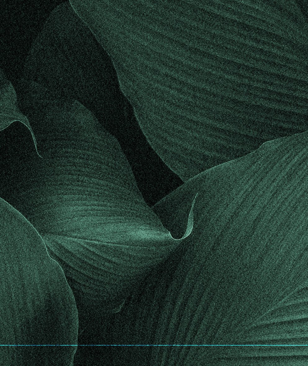 Image of Asset web 2024 industries finserv plant 01