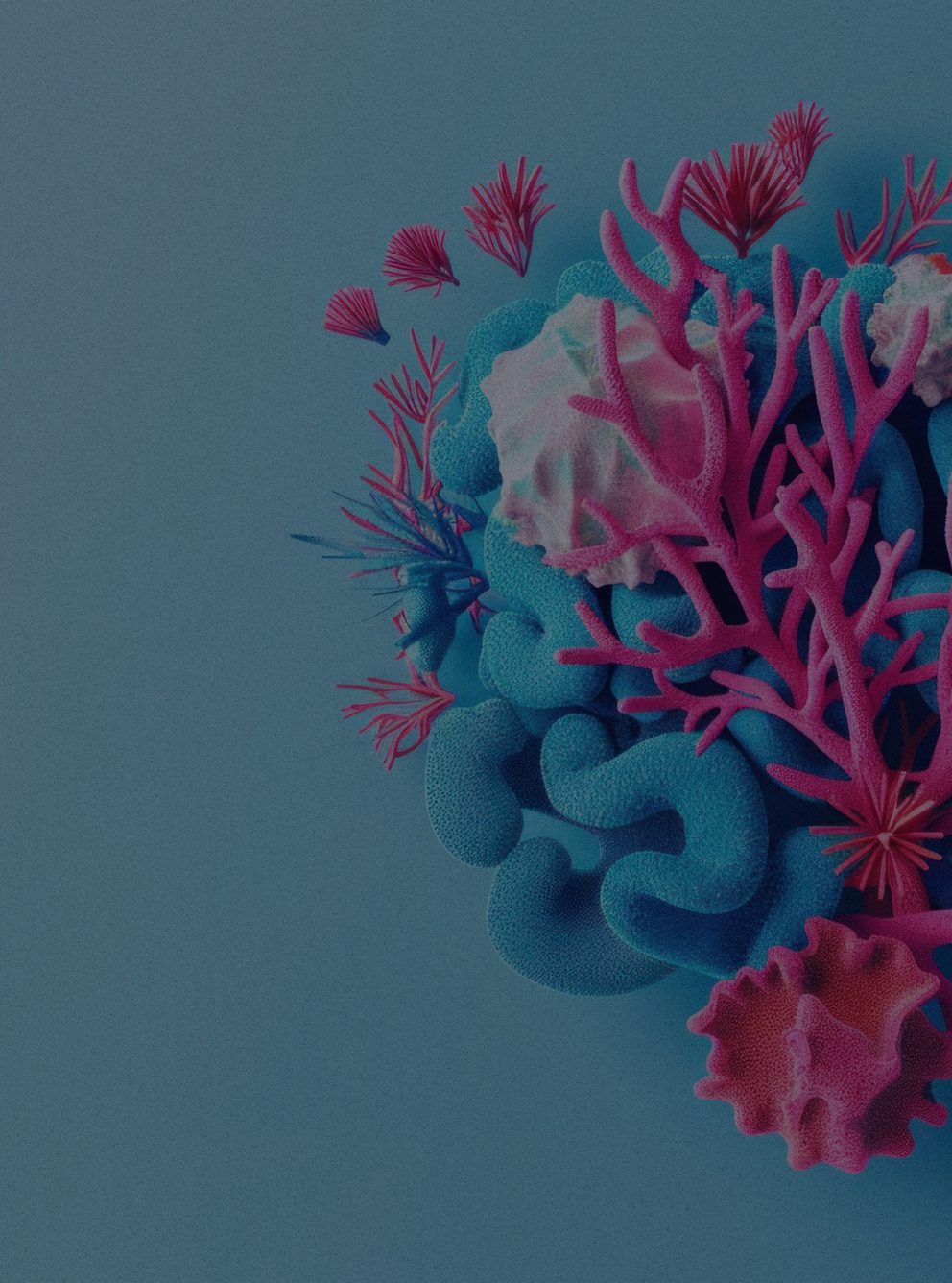 Image of Asset web 2024 industries healthcare coral 01