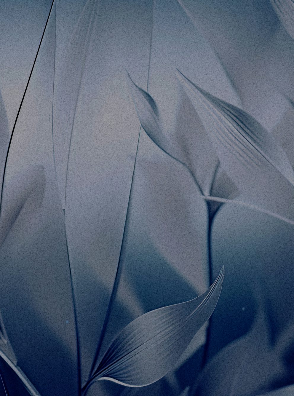 Image of Asset web 2024 industries life sci leaves 01