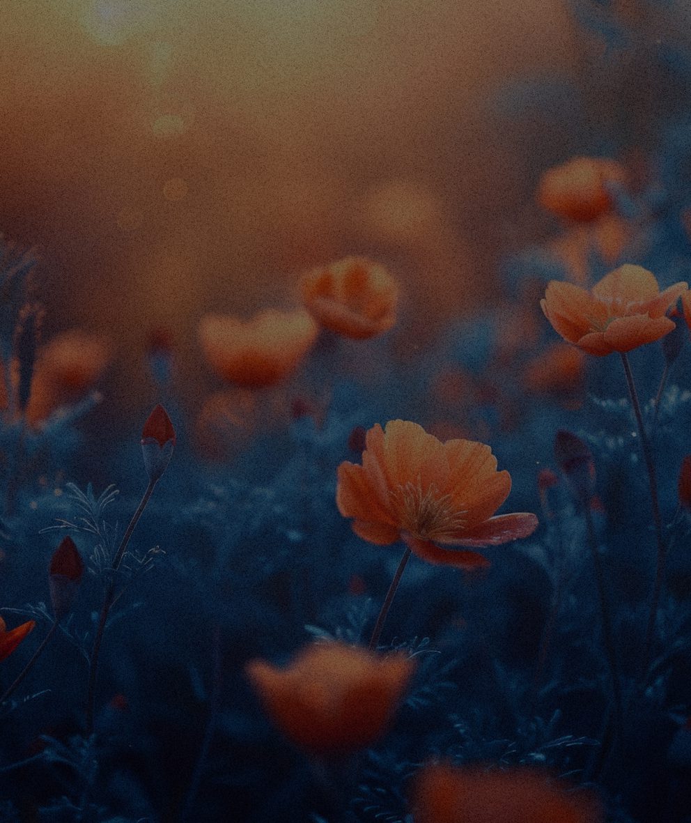 Image of Asset web 2024 industries social impact flowers 01