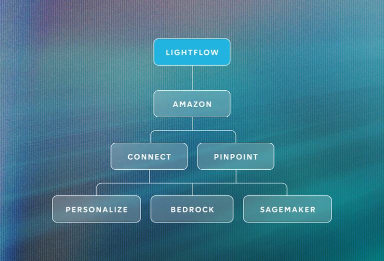 Image of Asset web 2024 lightflow graph 2