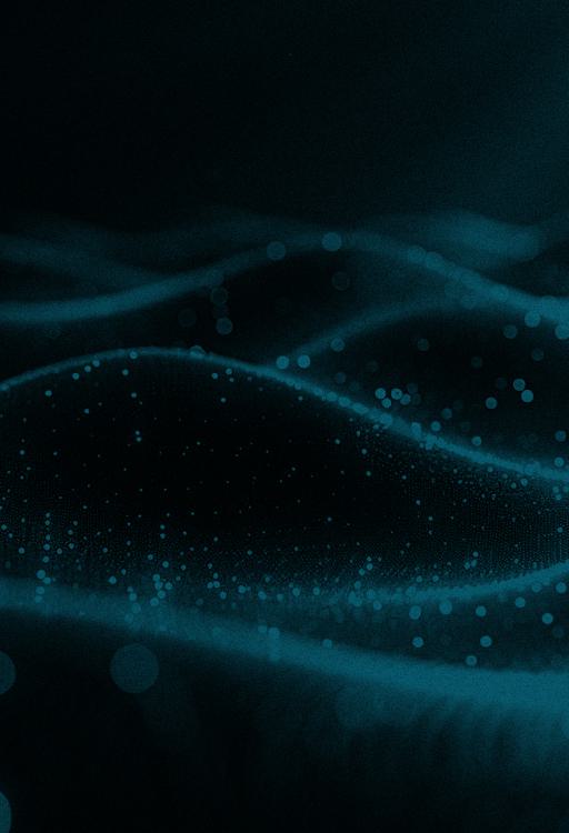 Image of Asset web 2024 lightflow security compliance