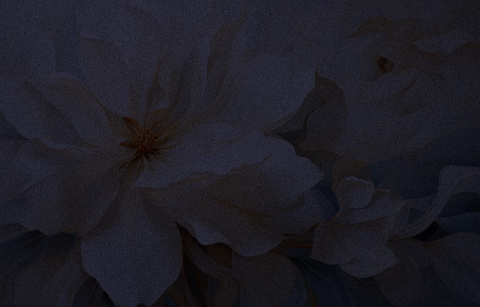 Image of Asset web 2024 services automation resilient 02